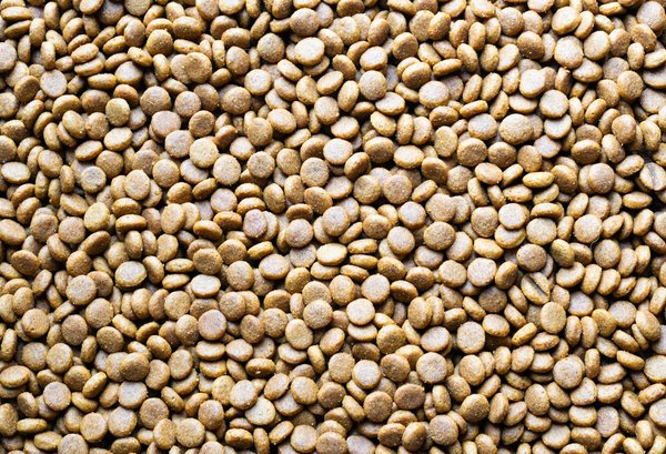 Découvrez les soins à domicile par une infirmière à saint-Étienne